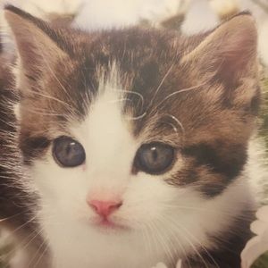 Meet your Posher, Beth